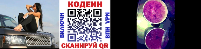 Кодеин Purple Drank  blacksprut как войти  Новая Усмань 