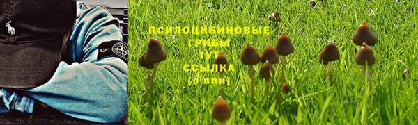 бутират Краснотурьинск