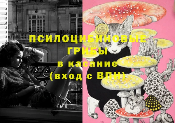 mix Пенза